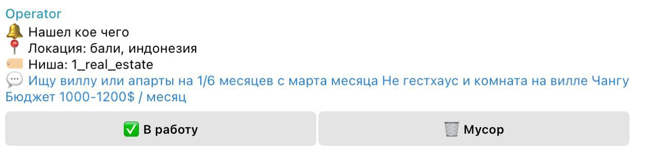 Скриншот лида по аренде виллы на Бали